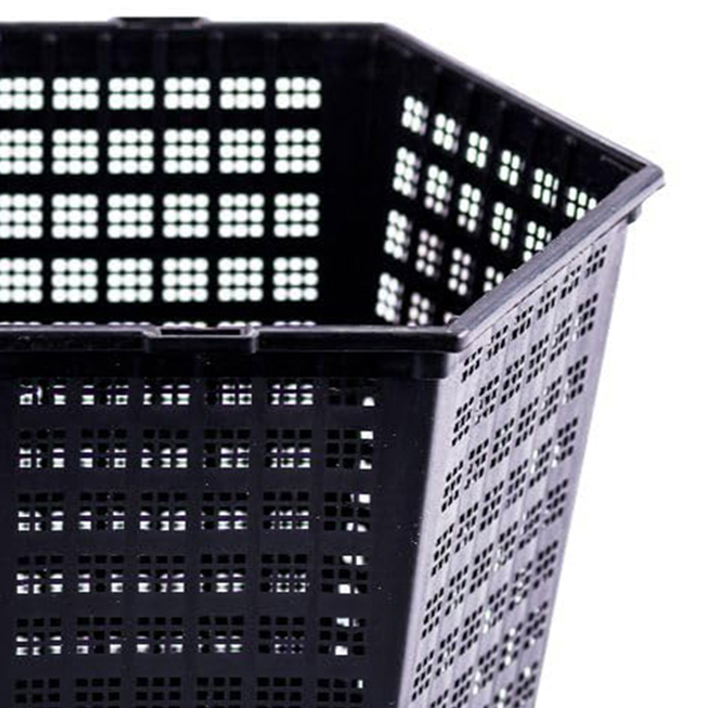 Thompson and Morgan Aquatics Plant Pot 3L 5 Pack Image 2