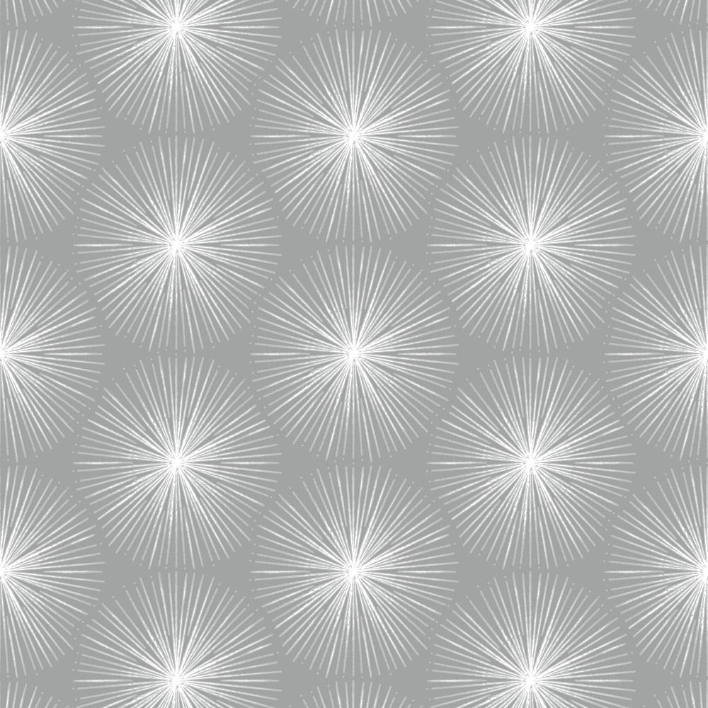 Sublime Fire Circle Silver Wallpaper Image 1