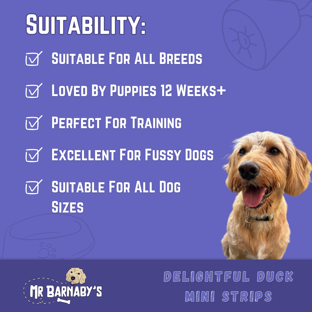 Mr Barnaby's Delightful Duck Mini Strips Dog Treats 6 Pack Image 5