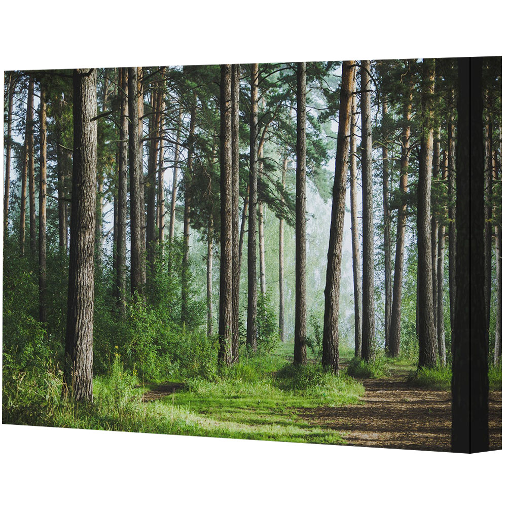 Benjamin Tate Design Beautiful Summer Forest with Different Trees Canvas 127 x 101cm Image 1