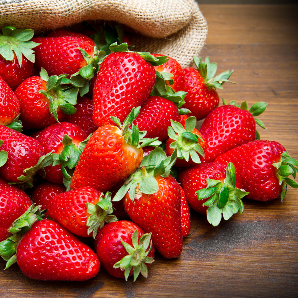YouGarden Everbearer Sweet Summer Bare Root Strawberry Runners 24 Pack Image 3