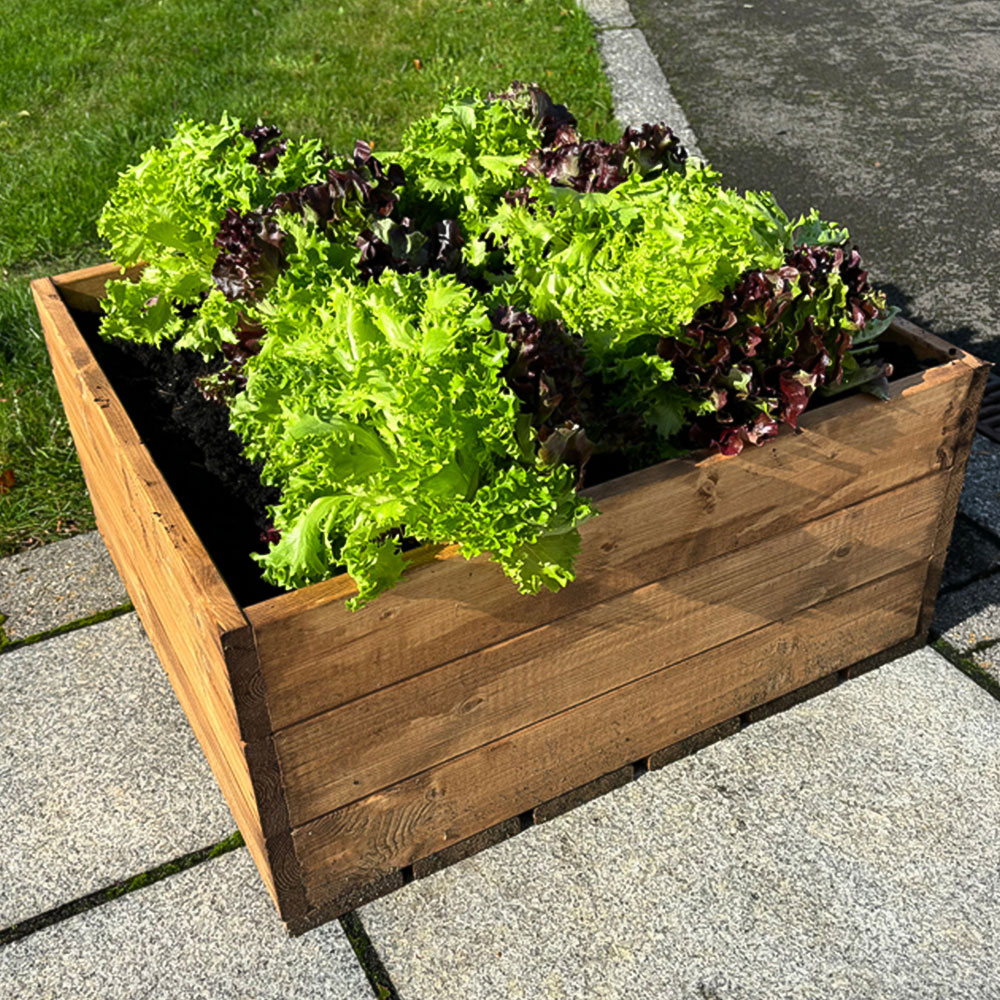 Charles Taylor Country Kitchen Large Raised Bed Image 9