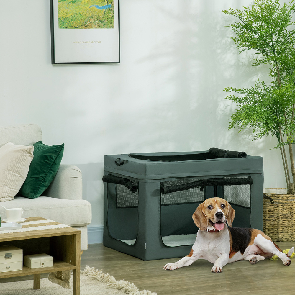 PawHut Grey Soft Side Large Dog Pet Carrier with Cushion Image 2