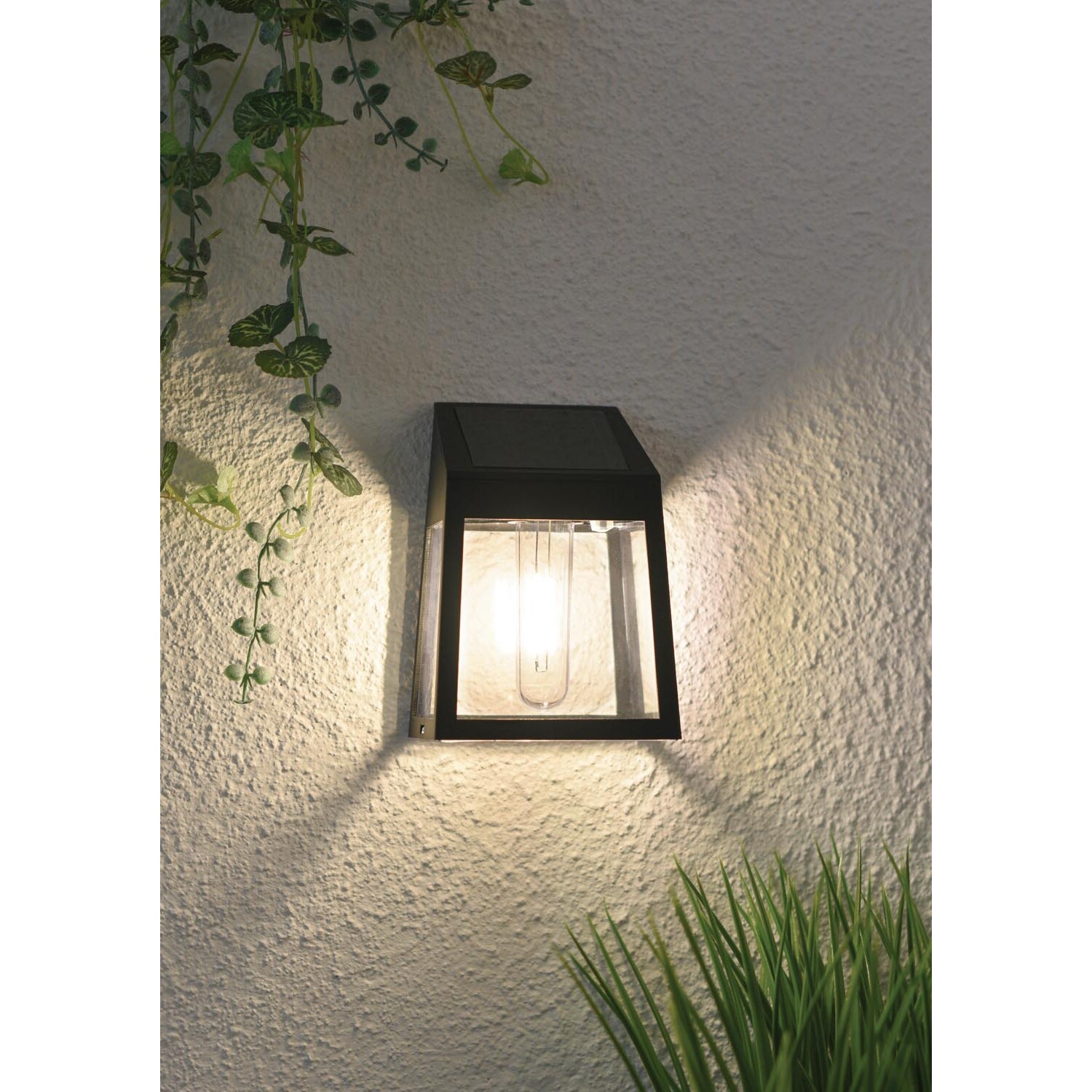 Alexis Solar Filament LED Wall Light - Black Image 4