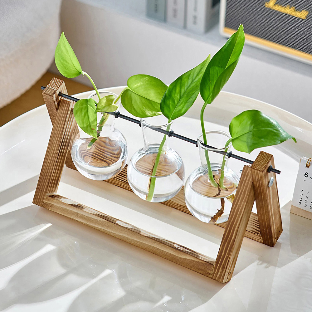 Living and Home 3 Piece Bulb Glass Terrariums with Wood Stand Image 6