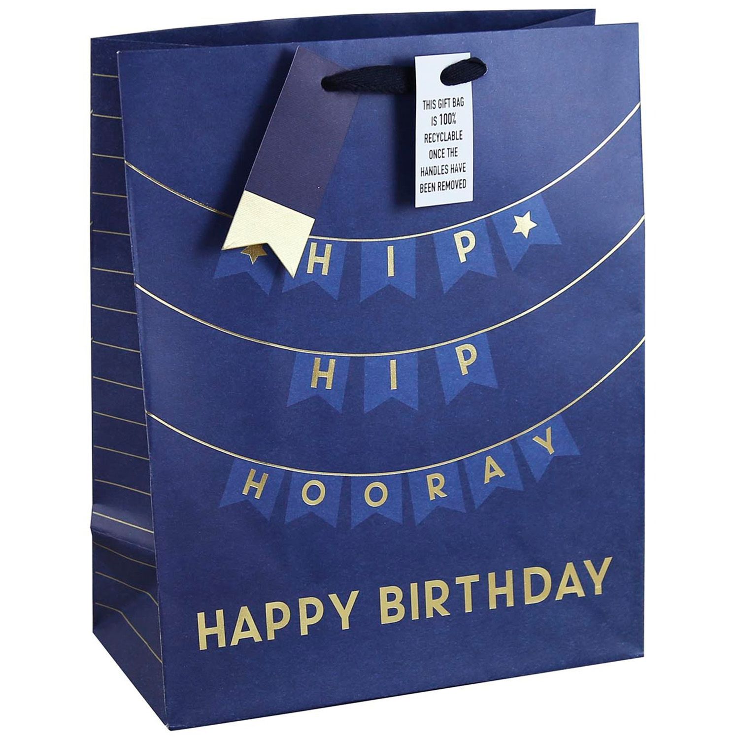 Birthday Large Bag - Blue Image 1