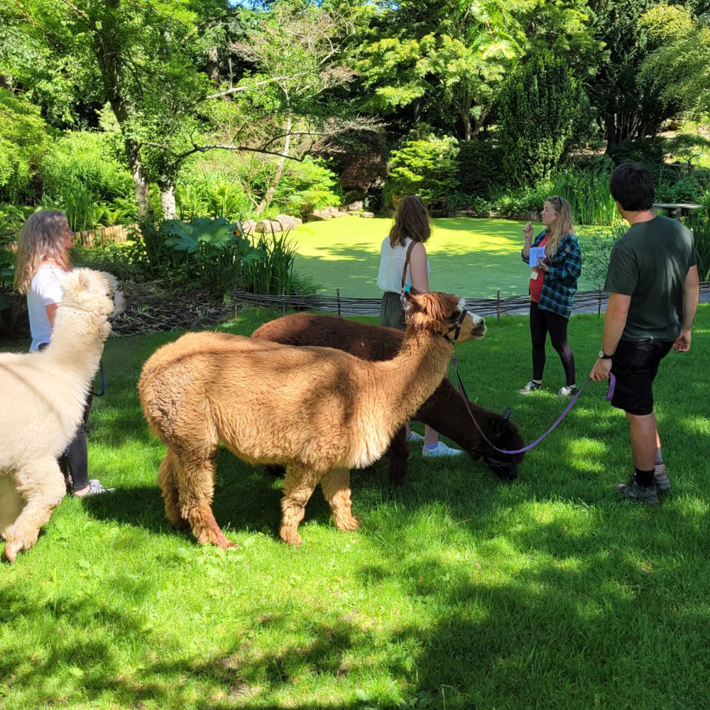 Activity Superstore Animal Magic Gift Experience Image 1