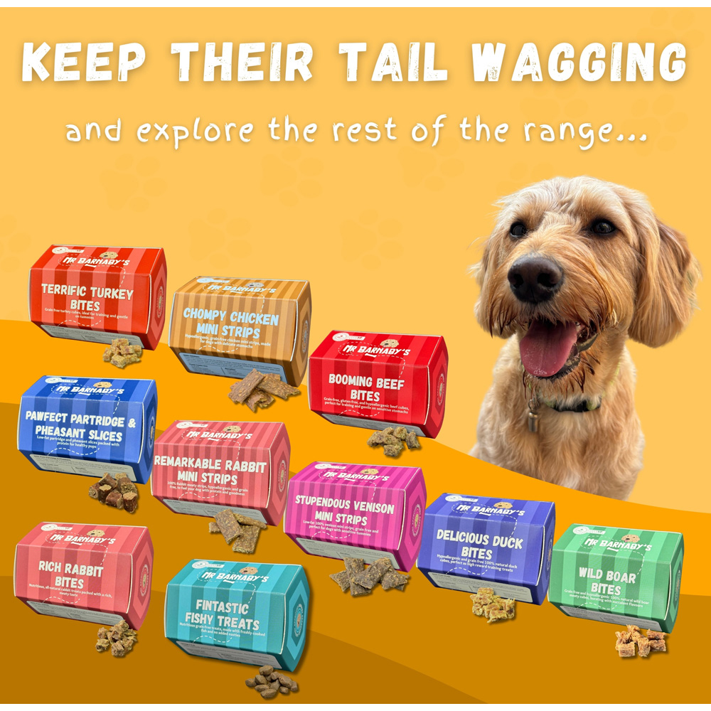 Mr Barnaby's Training Dog Treats Bundle 9 Pack Image 8
