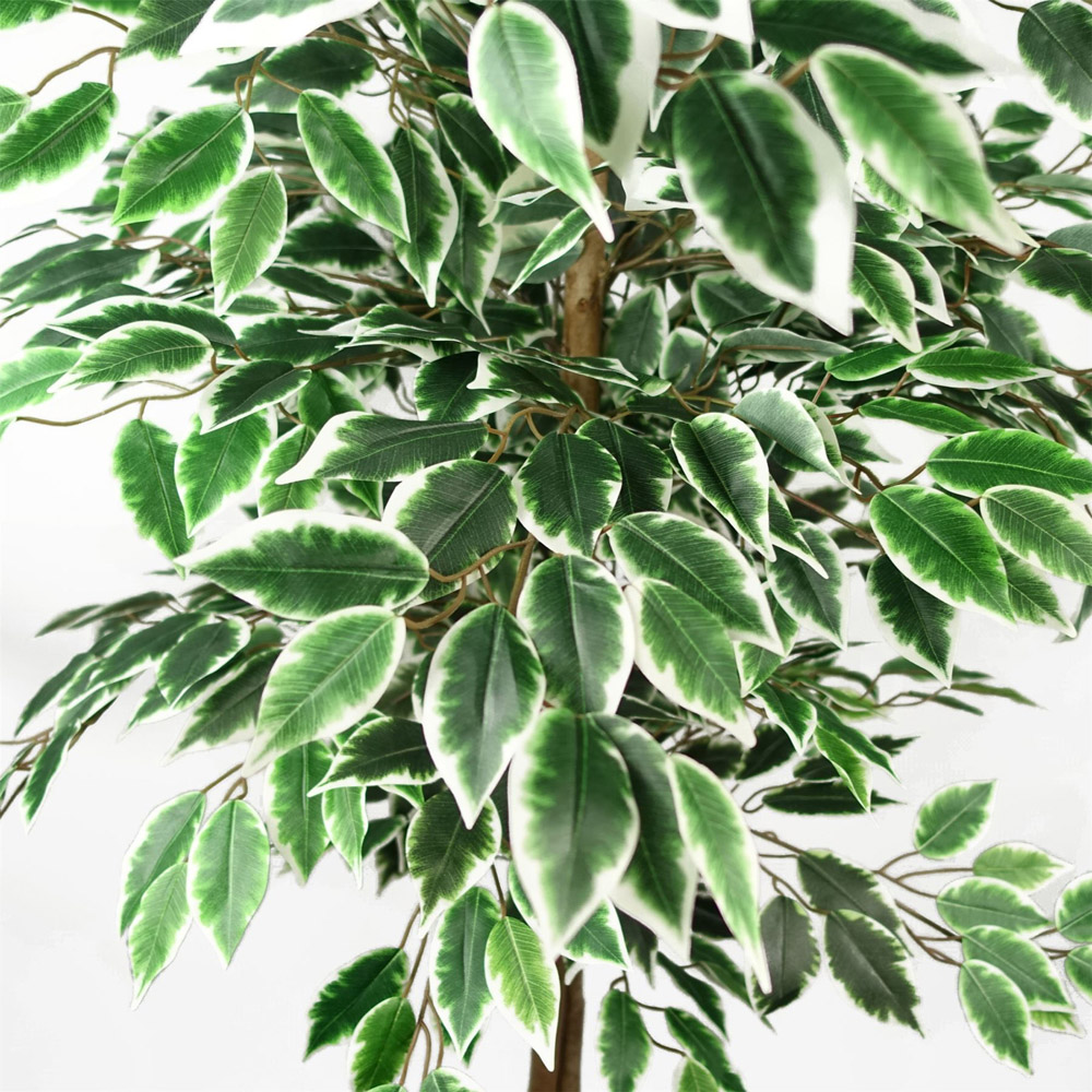 Botanik Ficus Artificial Tree in Pot 5ft Image 3
