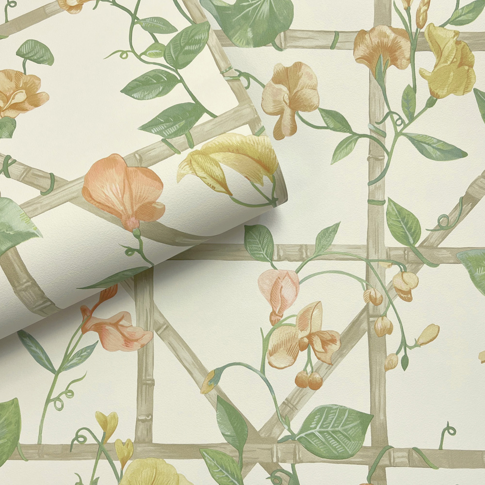 Holden Decor Trailing Floral Trellis Orange and Cream Wallpaper Image 2