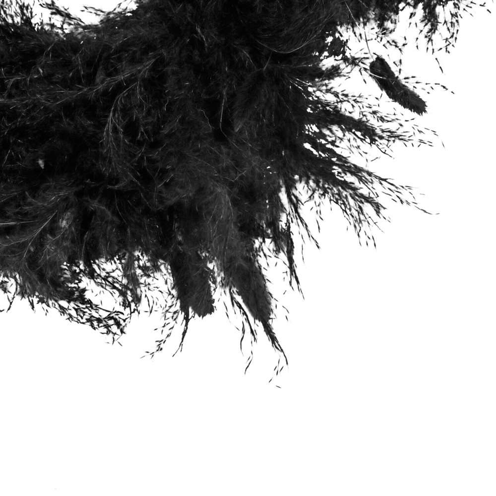 Black Pampas Wreath Image 3