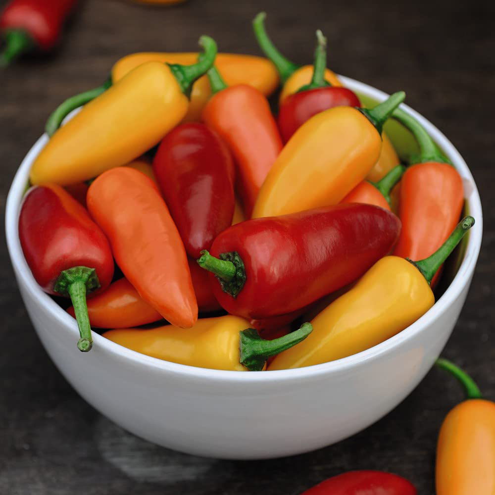Thompson and Morgan Chilli Pepper Fresno Mixed F1 Seeds Image 2