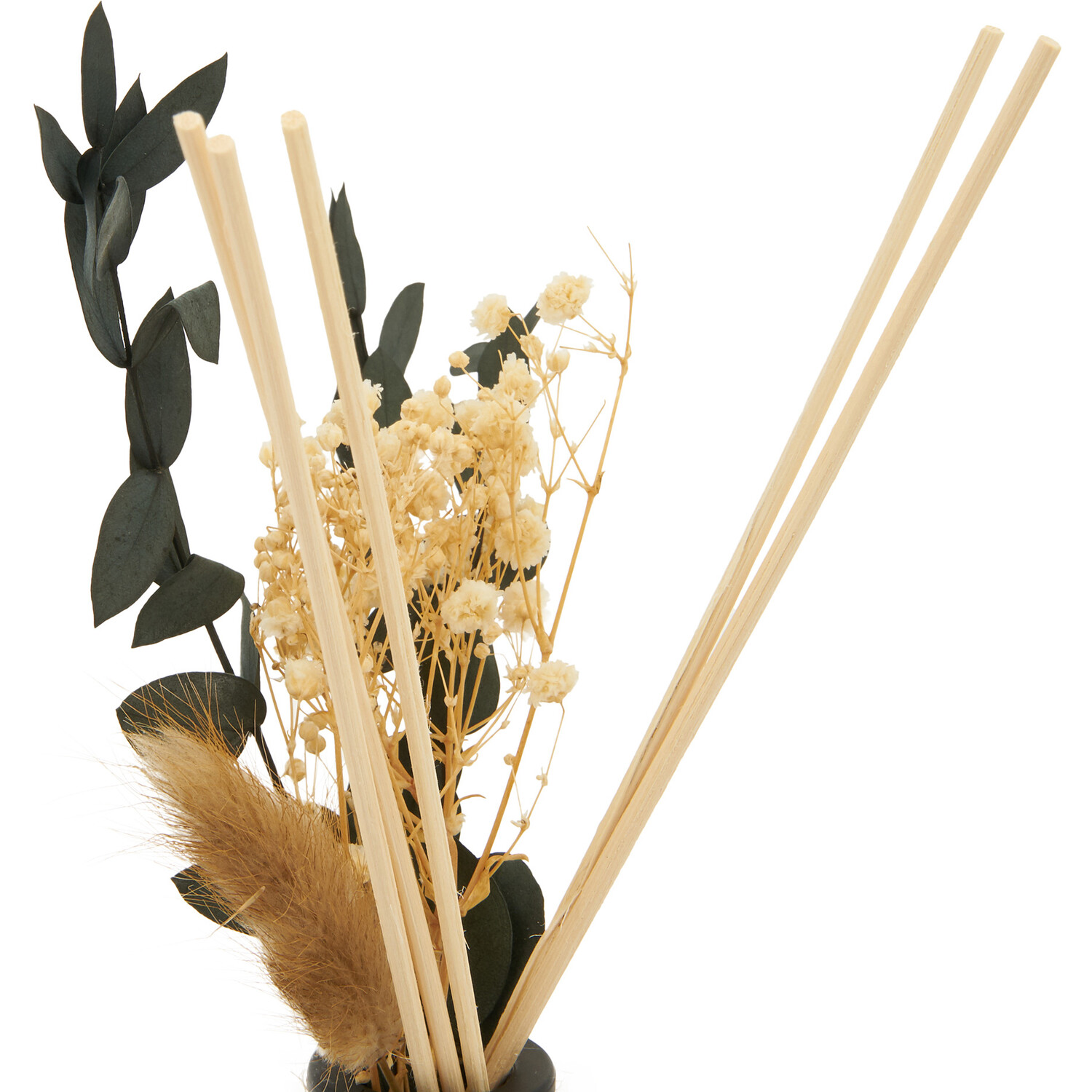 Aroma Botanics Diffuser Image 2