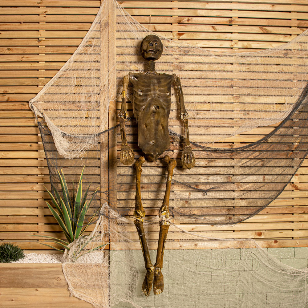 Samuel Alexander Halloween Mummified Skeleton Decoration 5ft Image 2