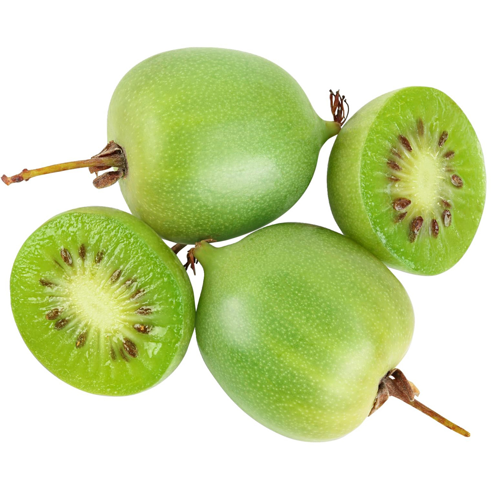 Thompson and Morgan Actinidia Kiwi Arguta Geneva Plant Pot 15cm 2 Pack Image 4