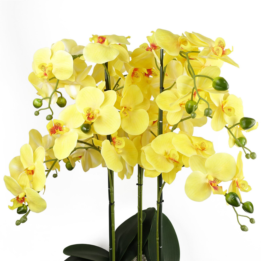 Botanik Yellow Orchid Artificial Tree in Black Ceramic Planter 60cm Image 2