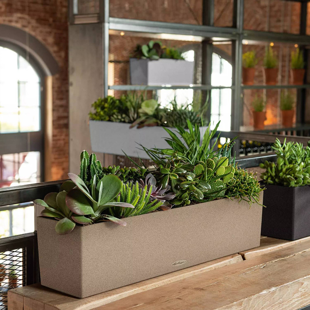 Lechuza Balconera Colour 80 Graphite Black Self-Watering Planter 19cm Image 6