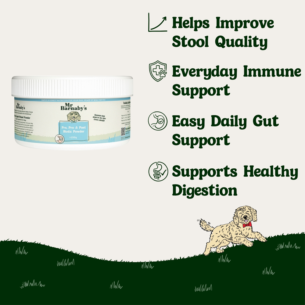 Mr Barnaby's Pre Pro and Post Biotic Powder for Dogs 250g Image 4
