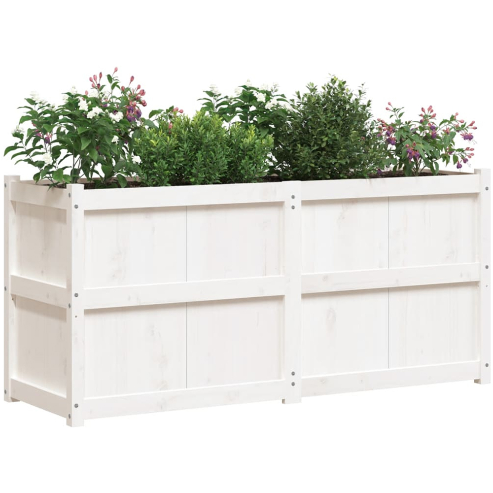 vidaXL White Pine Wood Raised Garden Bed 70 x 150 x 50cm Image 3