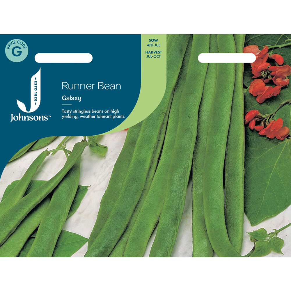 Runner Bean Galaxy Seeds Image 2