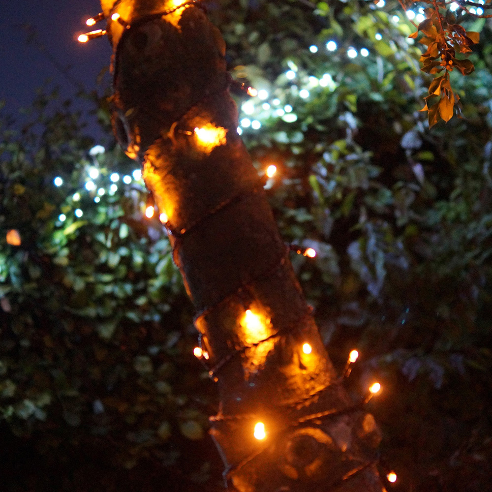 Eagle Connect Gold LED Black String Light 75m Image 3
