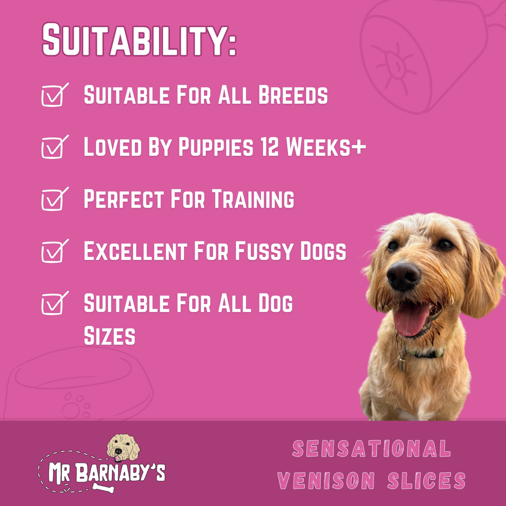 Mr Barnaby's Sensational Venison Slices Dog Treats 2 Pack Image 5