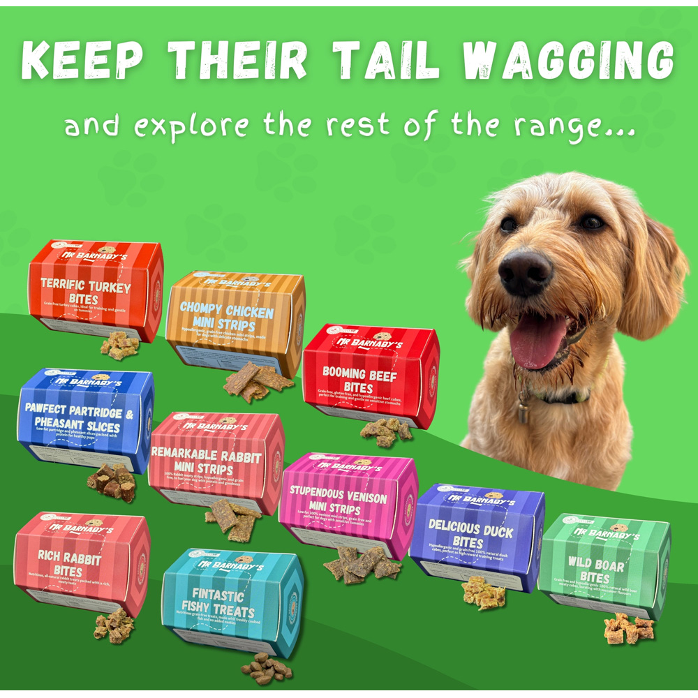 Mr Barnaby's Lavish Lamb Mini Strips Dog Treats 4 Pack Image 8