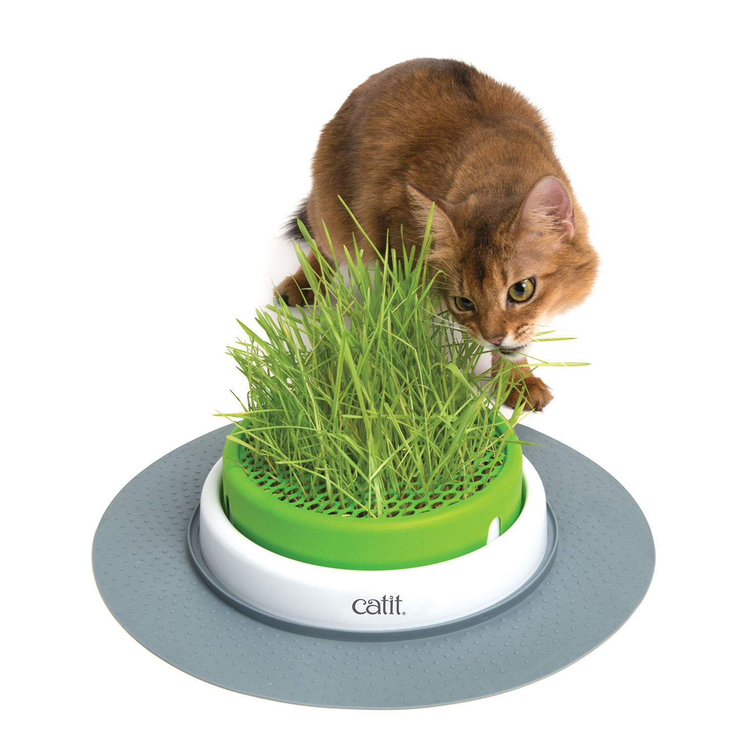 Pack of 2 Catit Triple Action Fountain Filters Image 4