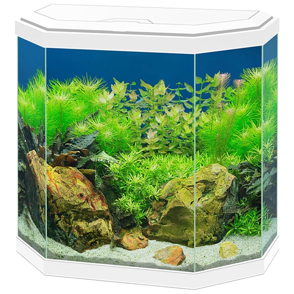 Ciano Aqua 30 Classic White Aquarium with LED Light 25L Image 1