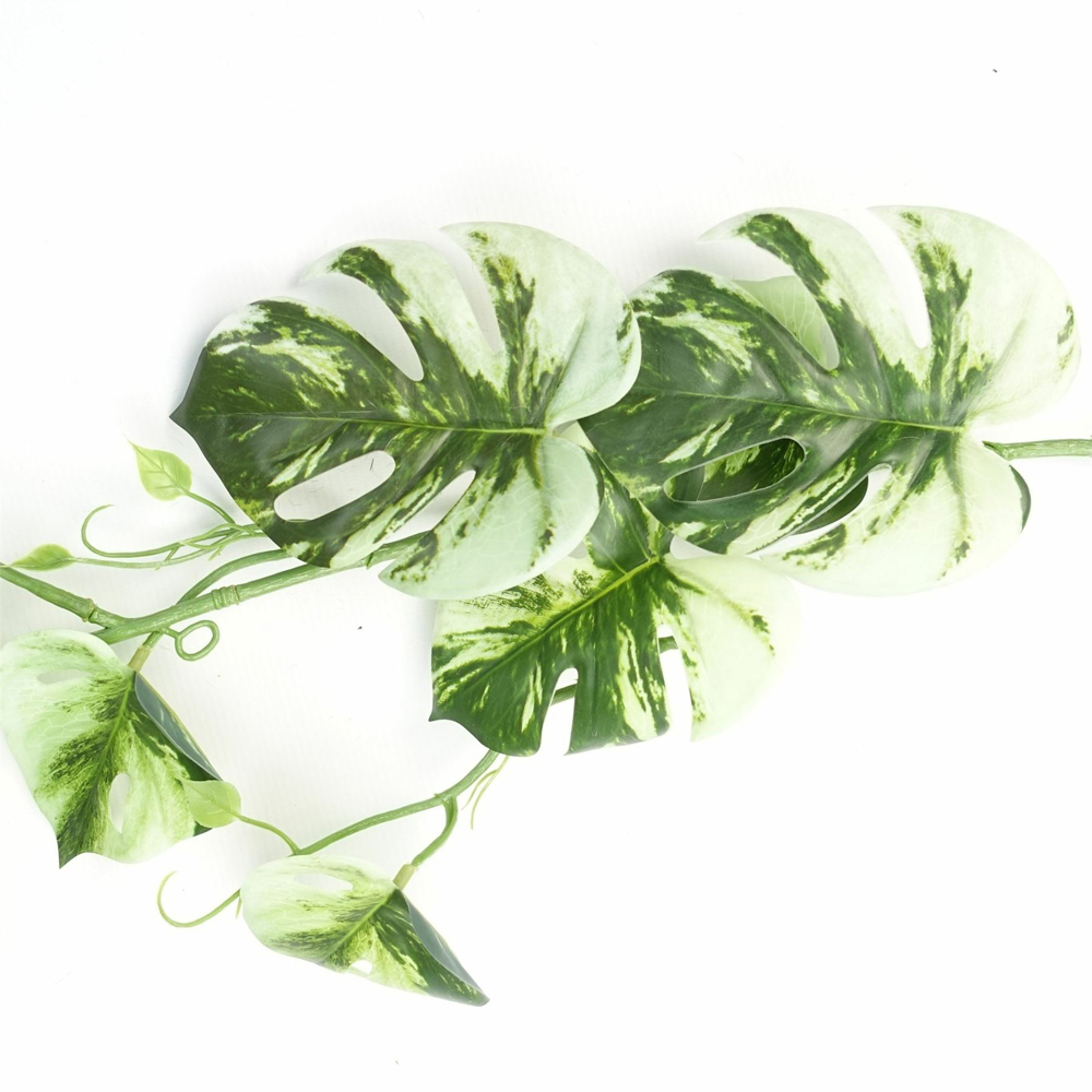 Leaf Trailing Variegated Monstera Hanging Artificial Plant 180cm Image 2