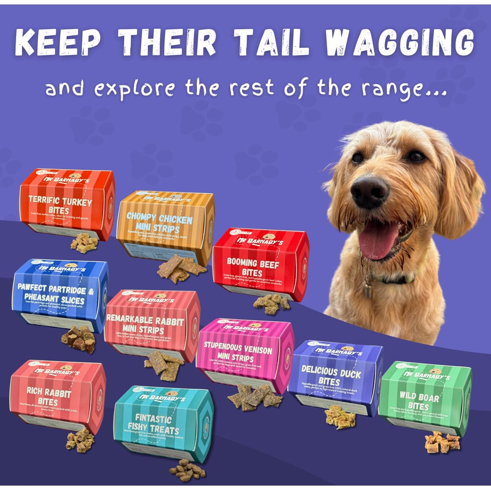 Mr Barnaby's Delicious Duck Bites Dog Treats 4 Pack Image 8