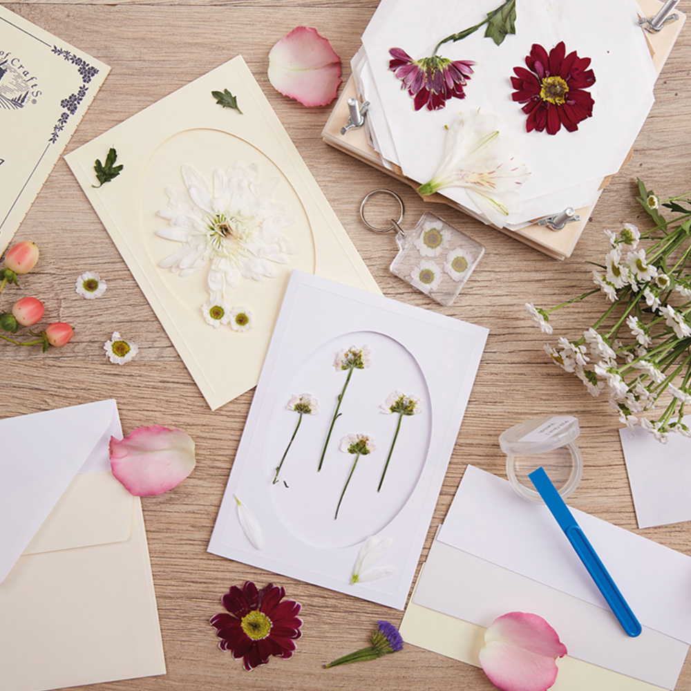 Bee & Bumble Multicoloured Flower Pressing Craft Kit Image 2