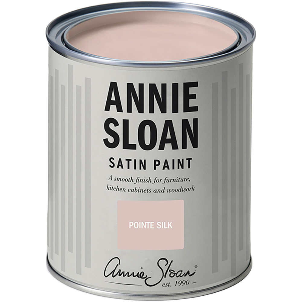 Annie Sloan Pointe Silk Wood and Metal Satin Paint 750ml Image 2