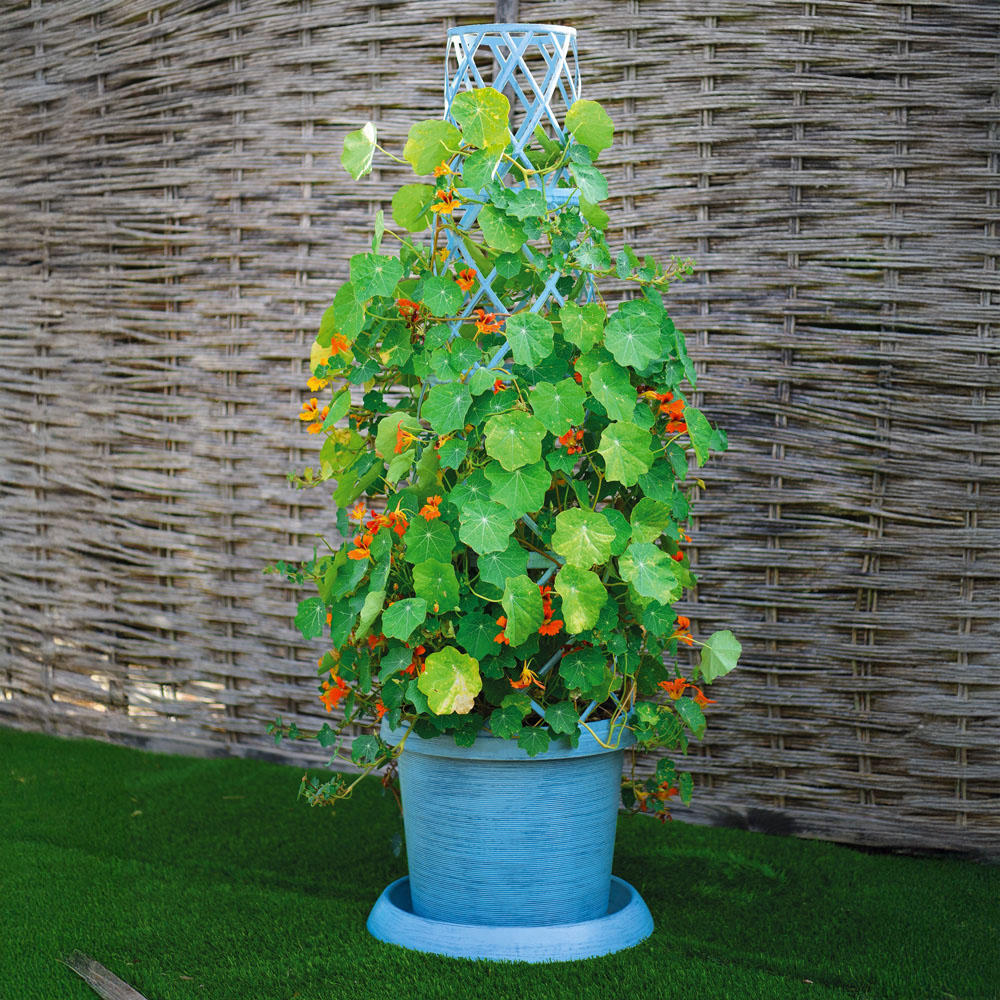 Garden Gear Mayan Blue Plastic Tower Pot with Saucer 42cm 2 Pack Image 3