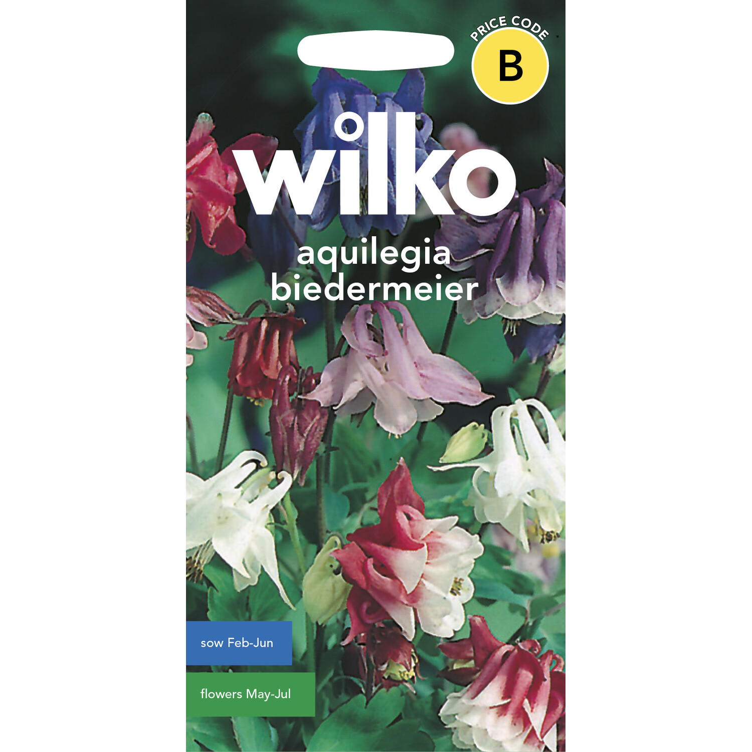 Wilko Aquilegia Biedermeier Seeds Image 1