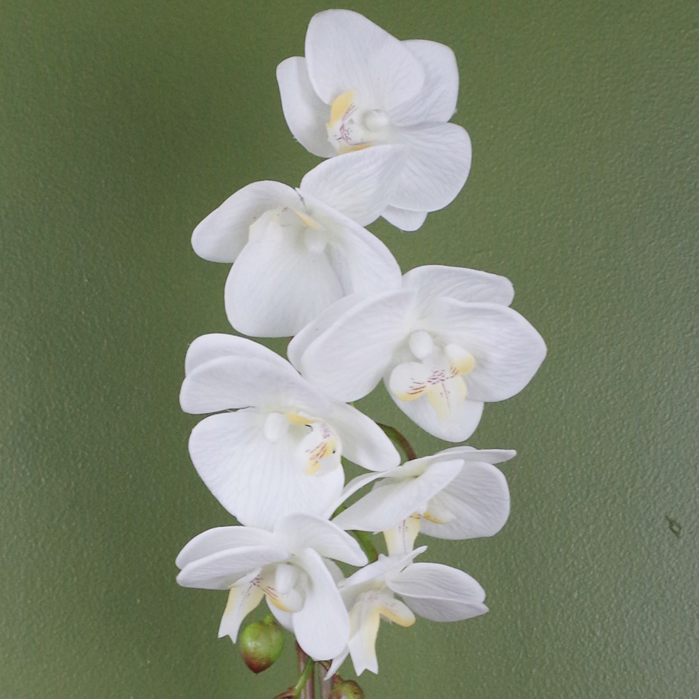 Botanik White Orchid Artificial Plant in Silver Pot 46cm Image 3