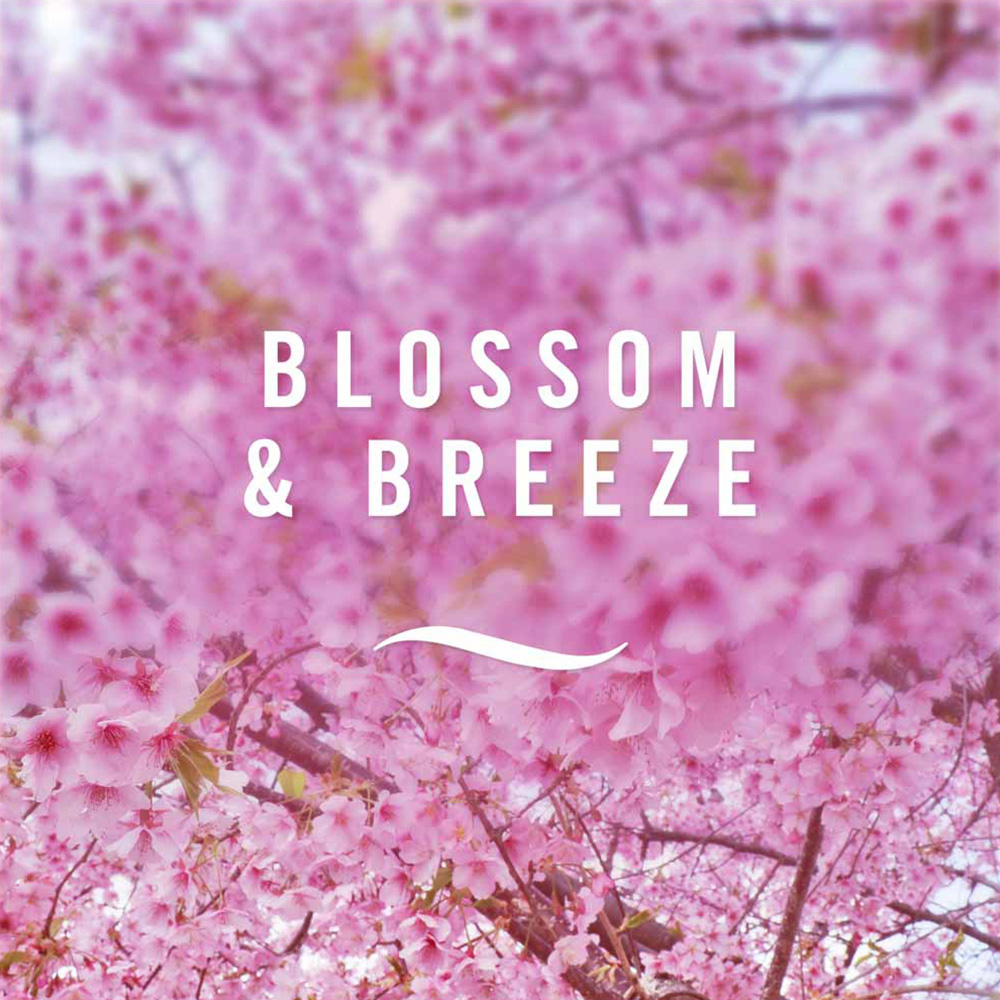 Febreze 3Volution Blossom Breeze Refill Air Freshener Image 2