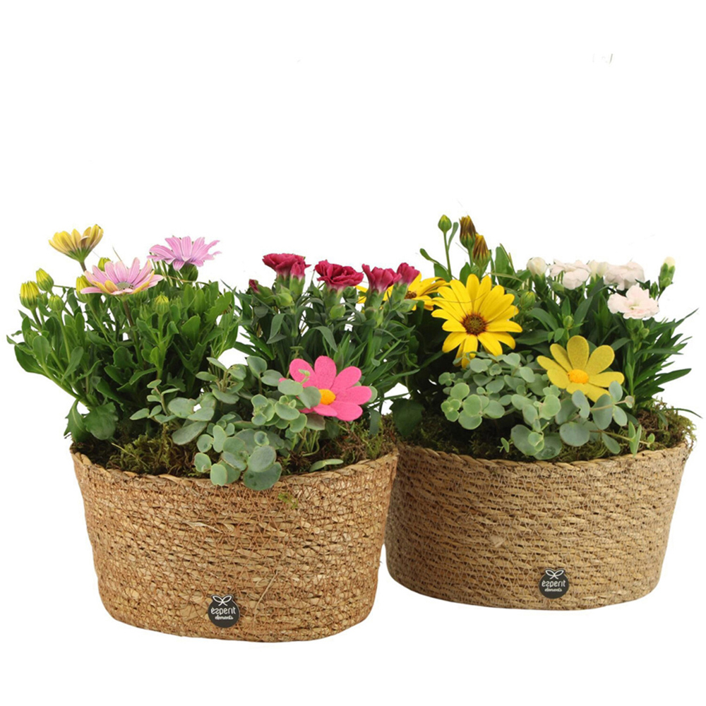 Flower Mix Wicker Basket Image 2