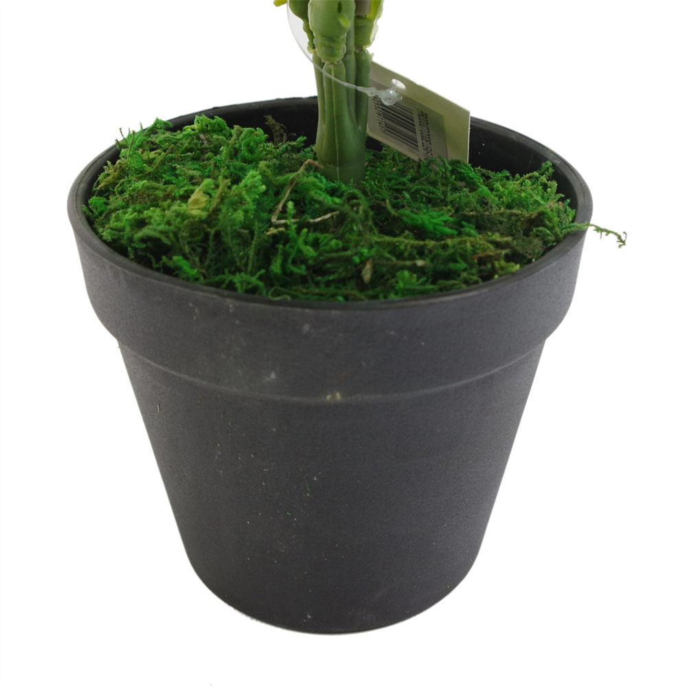 Leaf Luxury Evergreen Artificial Fern Plant Pot 1.6ft Image 4