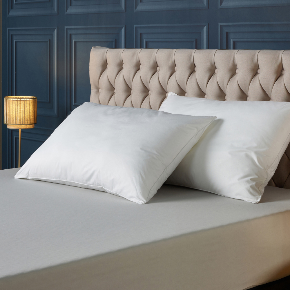 Downland Forever Full Pillow 2 Pack Image 3