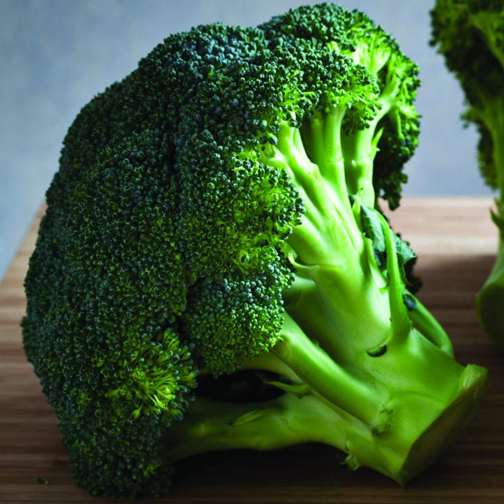 Thompson & Morgan Broccoli Belstar F1 Hybrid Calabrese Seeds Image 1