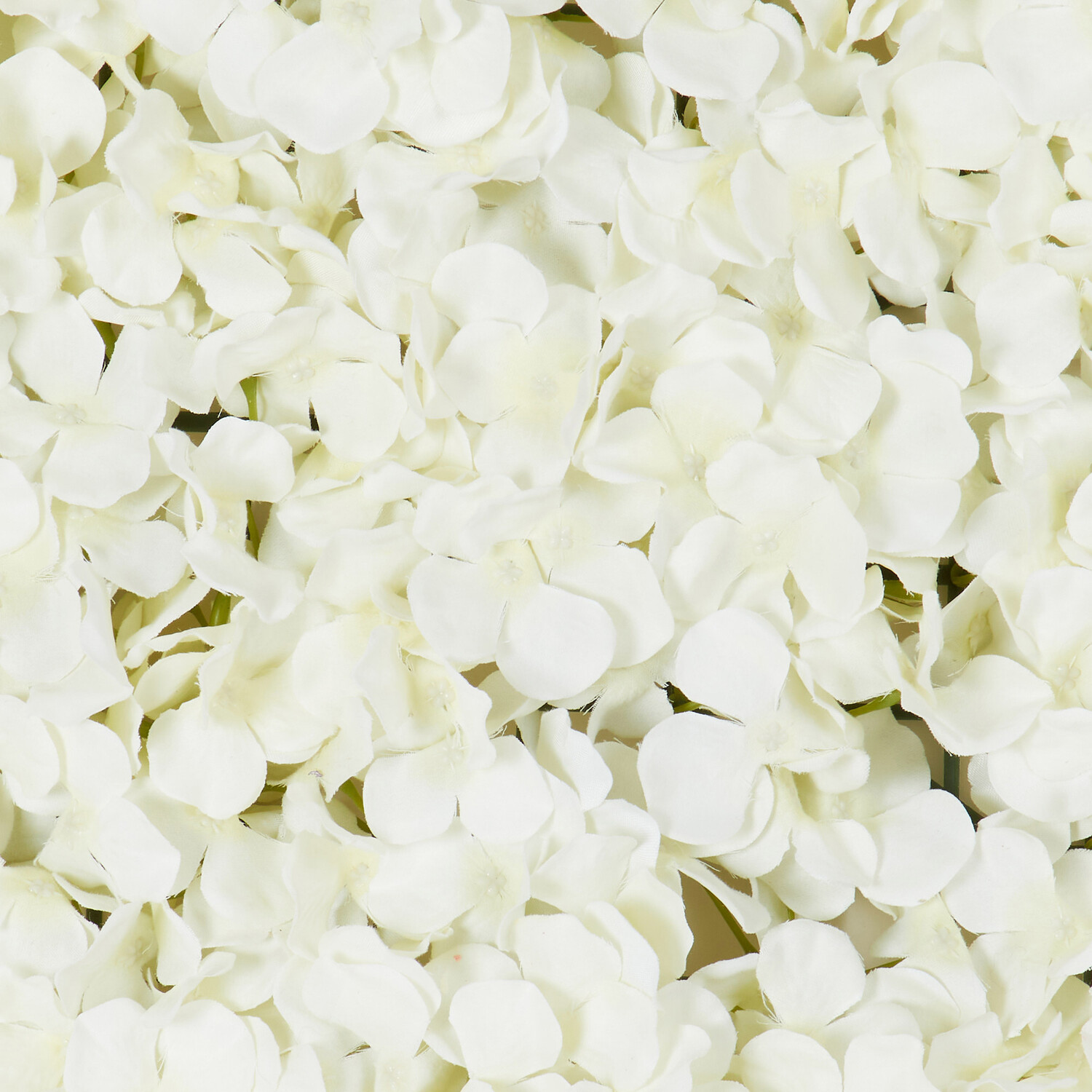 Hydrangea Flower Panel - White Image 4
