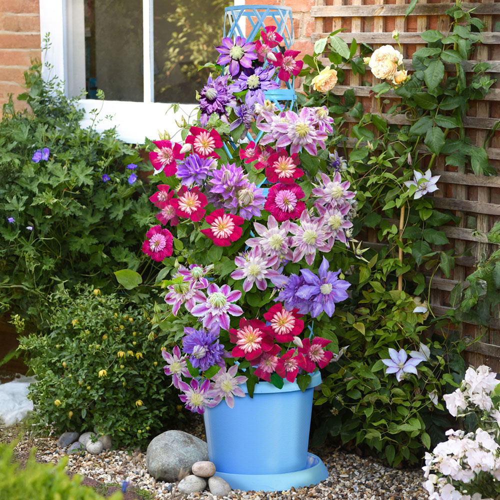 Garden Gear Mayan Blue Plastic Tower Pot with Saucer 42cm Image 2