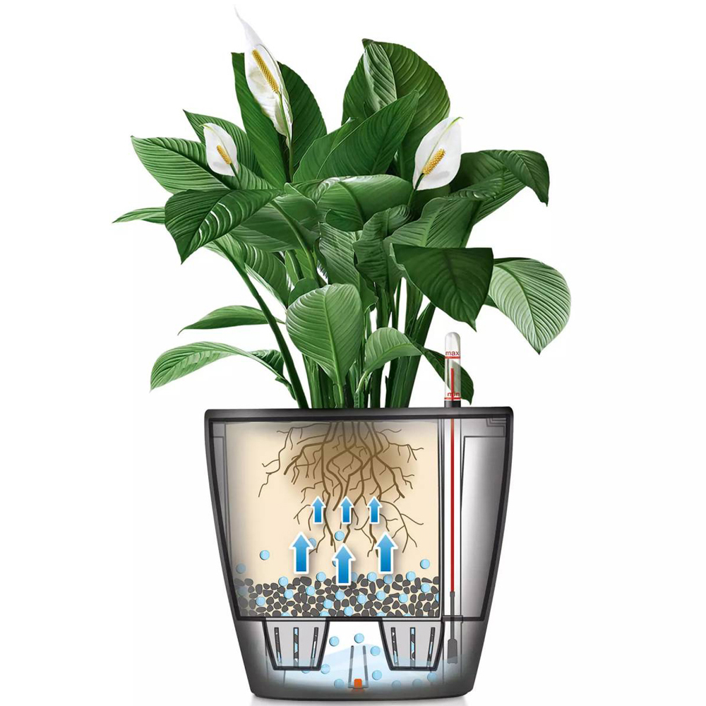 Lechuza Classico White Polyresin Self Watering Planter 21cm 2 Pack Image 4