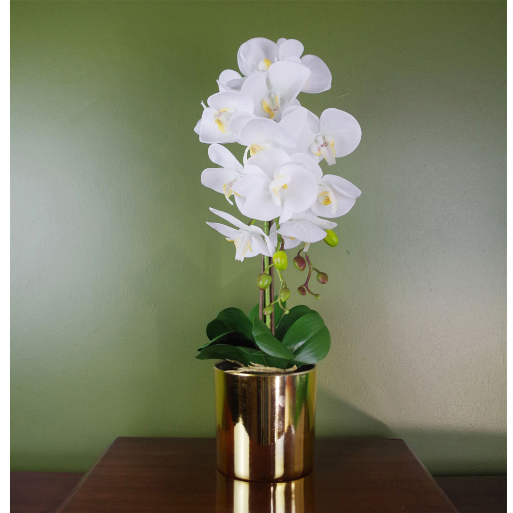 Botanik White Orchid Artificial Plant in Gold Pot 52cm Image 2