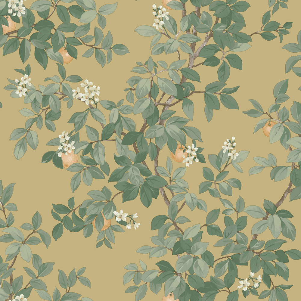 Holden Decor Orange Tree Ochre Wallpaper Image 1