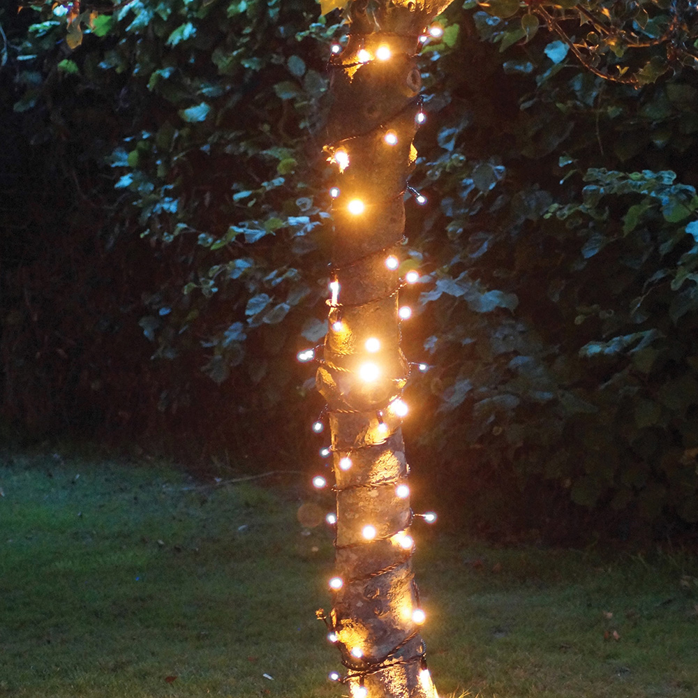Eagle Connect Gold LED Black String Light 50m Image 4