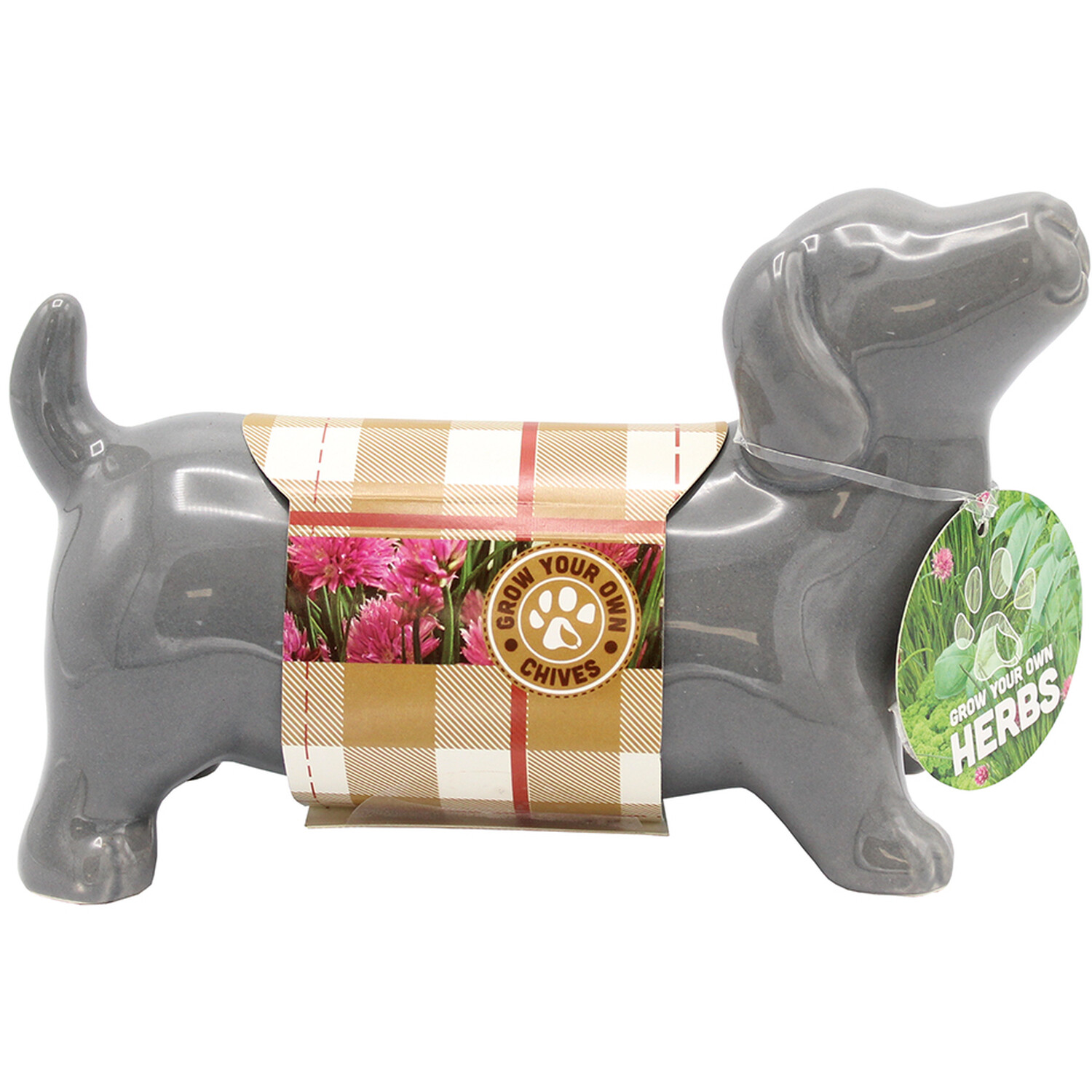Sausage Dog Herb Planters - Multicolour Image 2