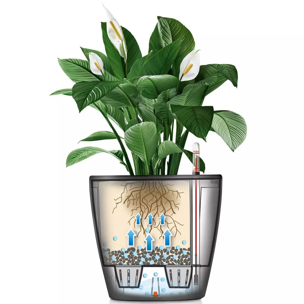 Lechuza Classico Nutmeg Poly-Resin Self-Watering Planter 28cm 2 Pack Image 3