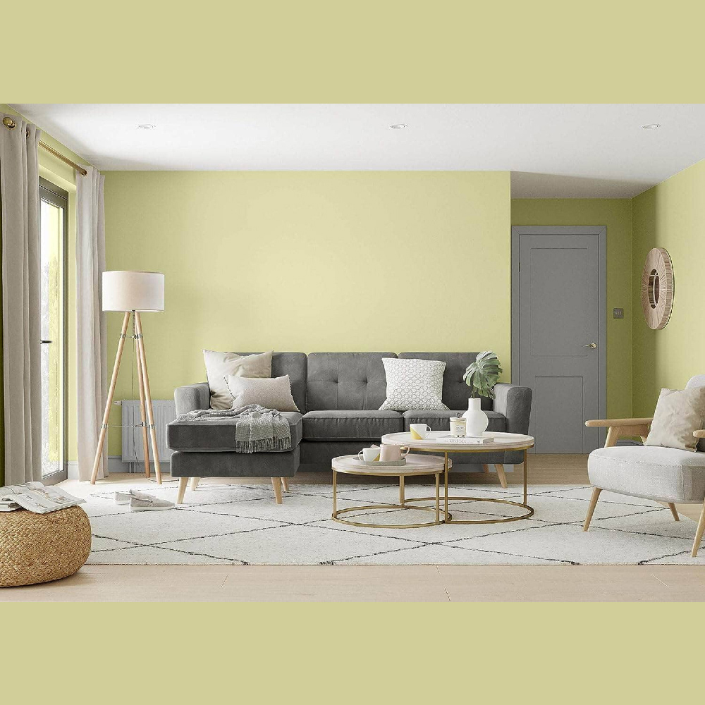 Dulux Trade Melon Sorbet Walls and Ceilings Diamond Matt Paint 5L Image 4